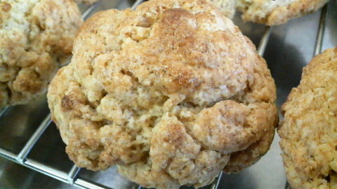 2010020313290001.jpg