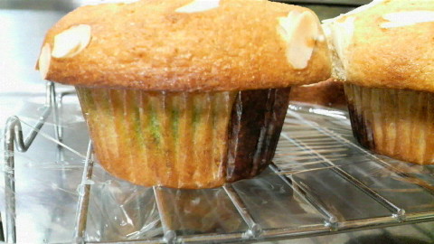 2010022421200001.jpg