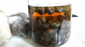 2010050320120000.jpg