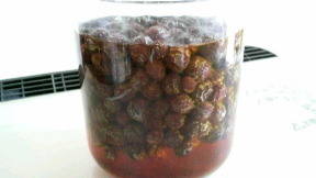 2010050910330000.jpg