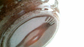 2010050910330001.jpg