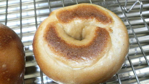 2010050919130002.jpg