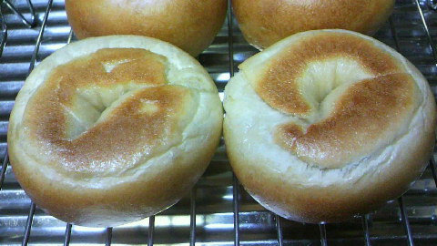 2010051417330001.jpg