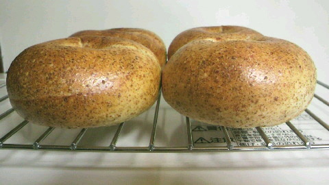 2010051817400000.jpg