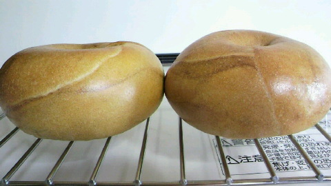 2010052116450000.jpg