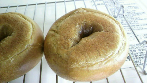 2010052116510000.jpg