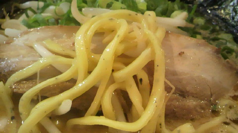 P1005417.jpg
