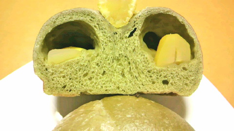 P1008011.jpg