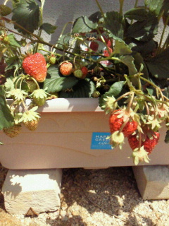 2012050611070000.jpg