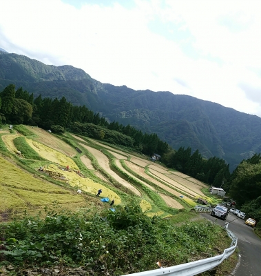 うへ山の棚田