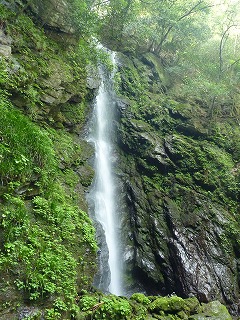 滝