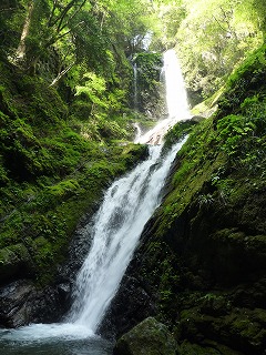 滝2
