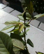 2012082207470000.jpg