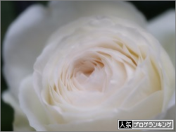 banner (7).png
