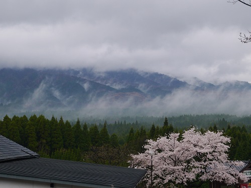 P1040591.JPG