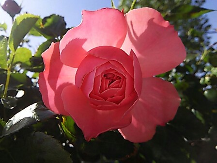 IMG_20150517_233742.jpg