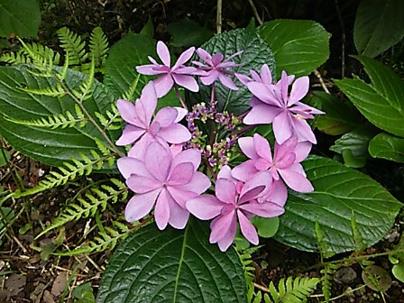 IMG_20150616_213300.jpg
