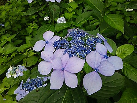 IMG_20150616_212924.jpg