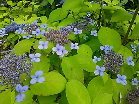 IMG_20150616_213045.jpg