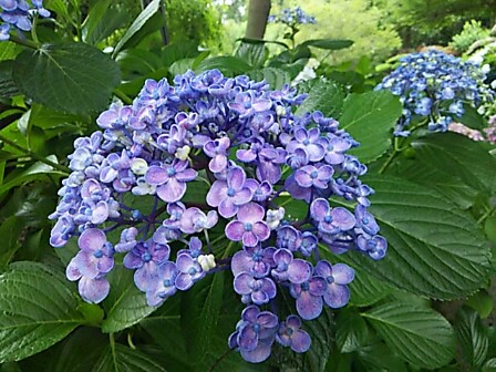 IMG_20150616_213604.jpg