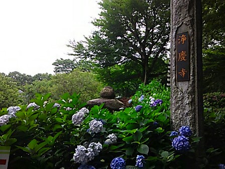 IMG_20150616_212123.jpg