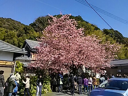 IMG_20160222_184315.jpg