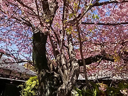 IMG_20160222_184358.jpg