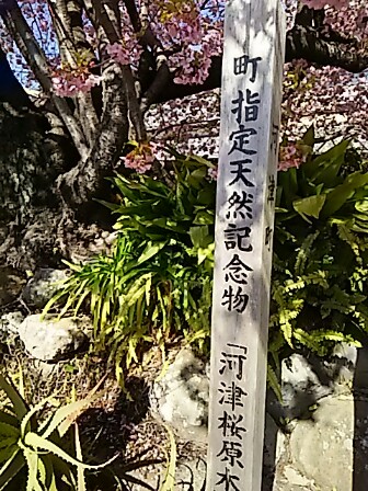 IMG_20160222_184433.jpg