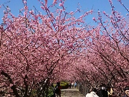 IMG_20160222_184805.jpg