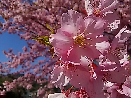 IMG_20160222_184820.jpg