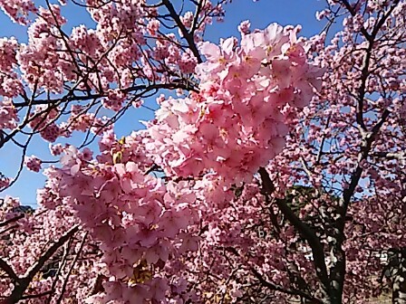 IMG_20160222_185448.jpg