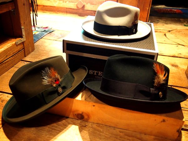 stetson whippet fur felt fedora hat