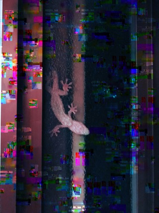 attachment00.jpg