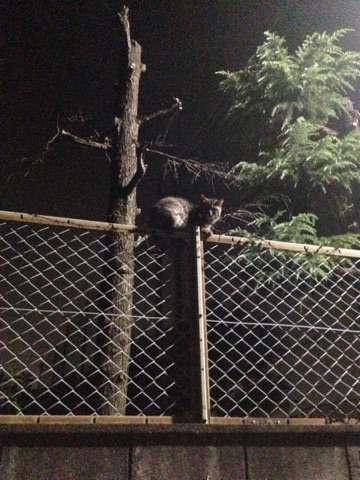 image02.jpg