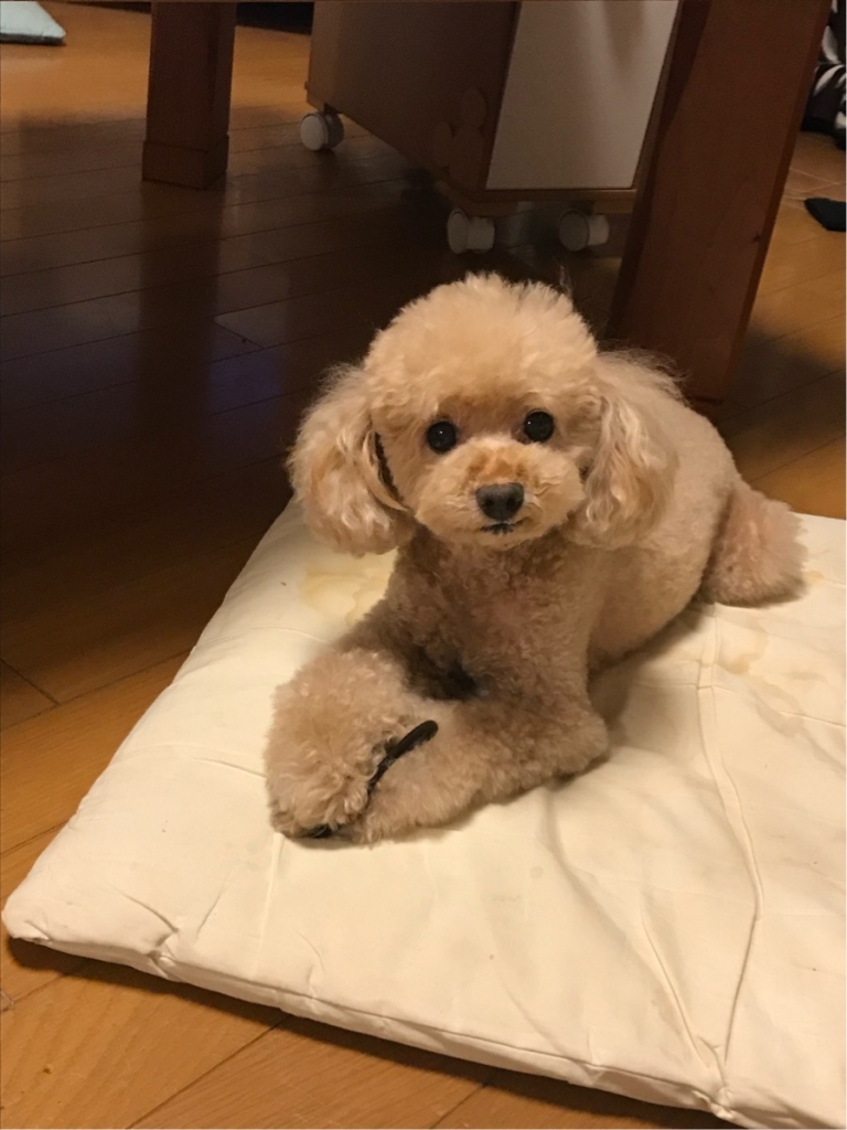 image1.jpeg