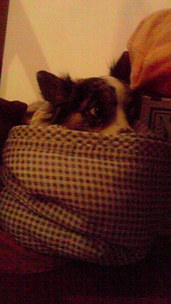 2010033020010000.jpg