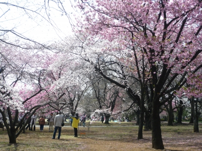 P1030406.JPG