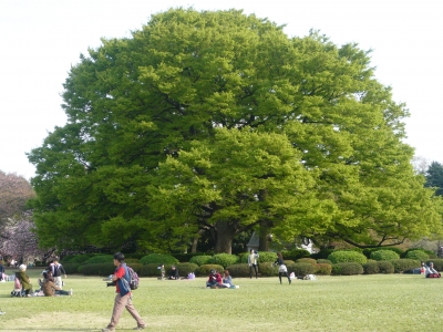 P1030450.JPG