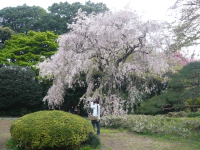 P1030461.JPG
