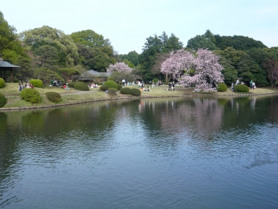 P1030466.JPG