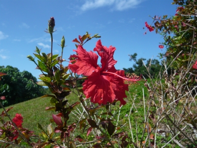 P1040573.JPG