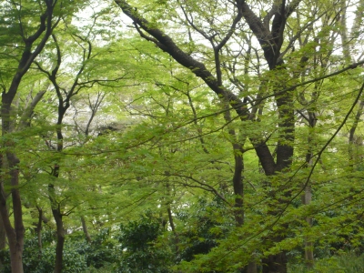 P1040642.JPG