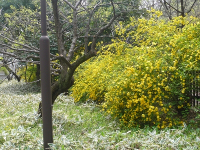P1040653.JPG