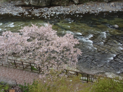 那須 塩原温泉 和泉屋旅館 和泉屋旅館だより