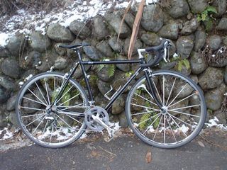 FCC19