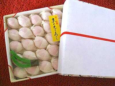 松葉屋 祇園四条祇園 和菓子10