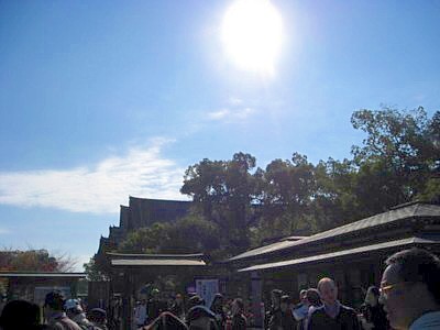 東寺 弘法市11