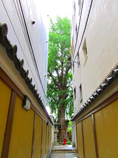 本能寺