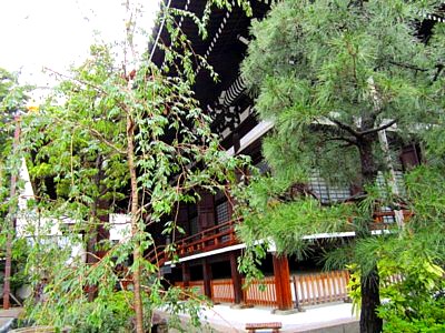 本能寺12