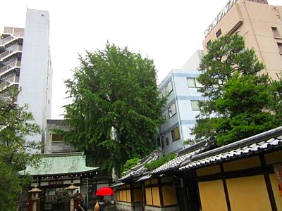 本能寺13